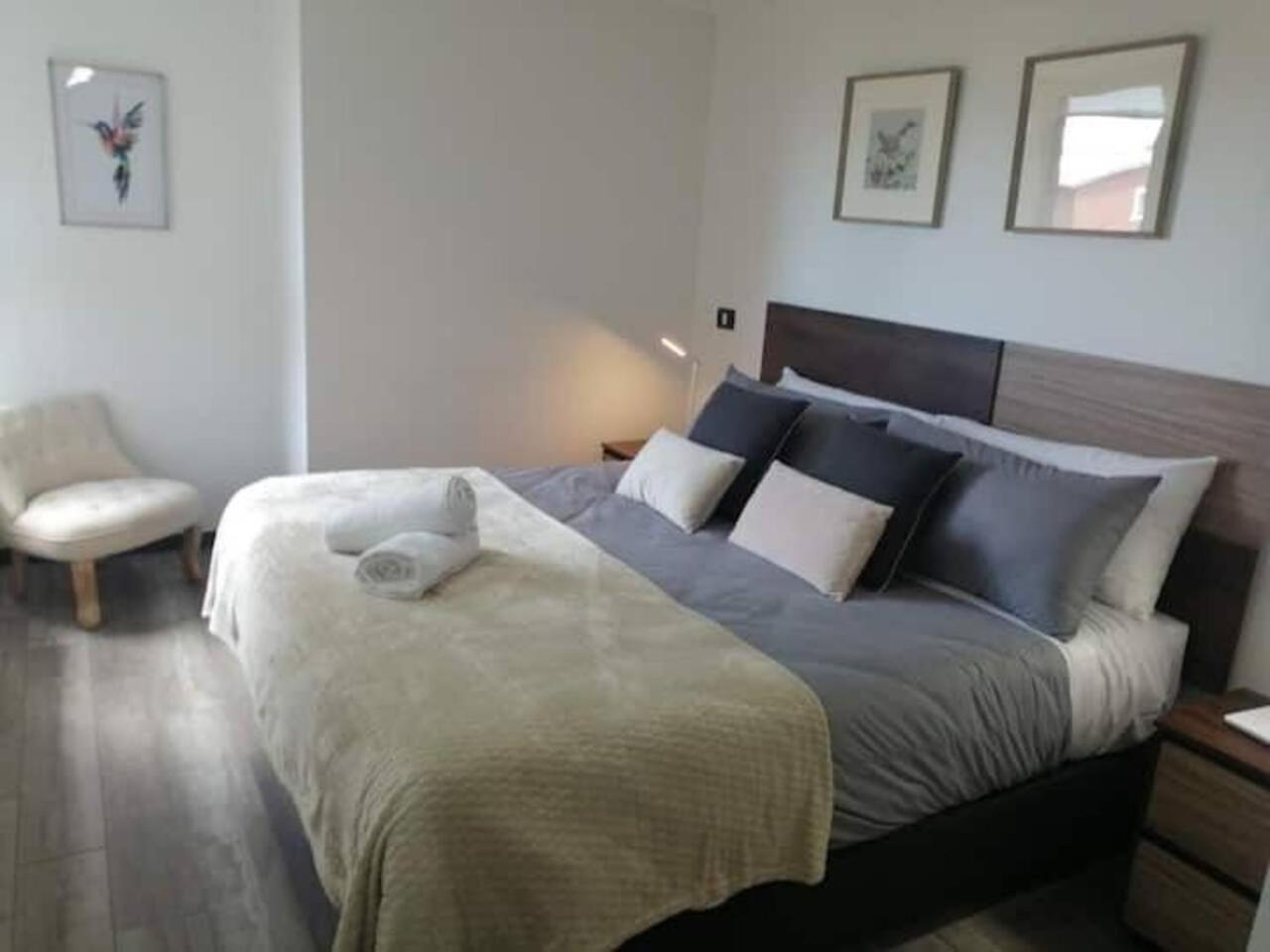 Apartamento Departamento Centrico 2d 2b A Estrenar! Puerto Varas